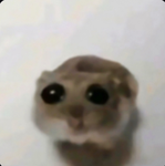 Trade and sell rocks.