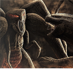 M.U.T.O Evolve