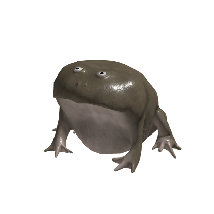 Funny Frog Suit