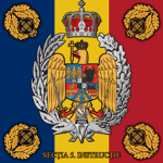 Section 5 - Training