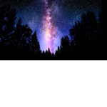 Starlight Premier