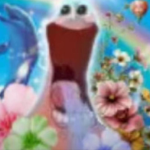ibimb(o)