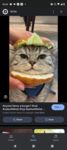 Cat burger-miaow