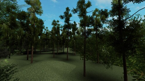 The Forest[First Person!]