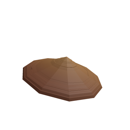 rice farmer hat