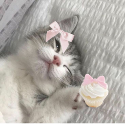 <3