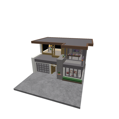 Modern House