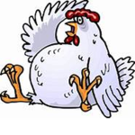 !Chicken Group!