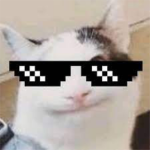 landmark bois