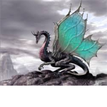 Dragon Spiecies