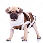 PugSquad