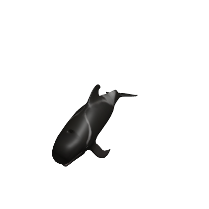 Pilot whale (credits to MajorGalah