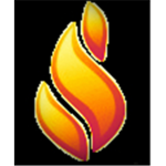 Steelflare Security