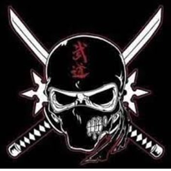 قراصنة الادمن 