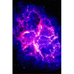 Official Cosmic Squad