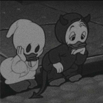منورين كلل .