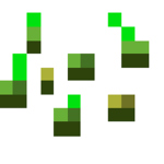 The Seeds Group