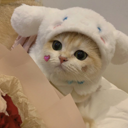 ฅ
