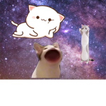 Adopt me cute pets