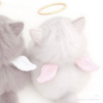 cutely made