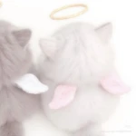 cutely made Group Thumbnail