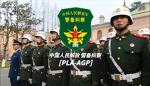 咸阳戒备纠察