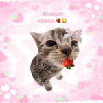 strawberii kitties!! -~-