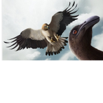 Eagle And Dino