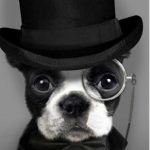 Hello friendssss