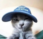 "!!Meoow!!" Group Thumbnail