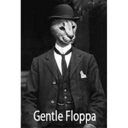 FLOPPA COURT