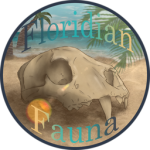 Floridian Fauna Official