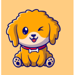 DOGGY CLUB !