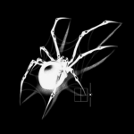 botanic cyber soul