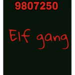 Elf gang official group