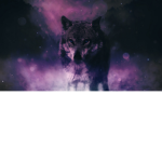 Wolf Fam Is My Fam