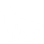 Rhyzen Games