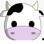 Cow colt