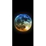 Foxy midnight dream