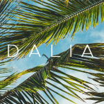 Dalia Boutique