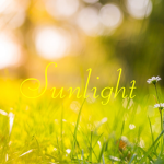 - [ Sunlight ] -