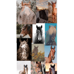 Lateam_robloxhorse