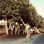 American Monkeys