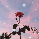 - Ethereal Clothing Boutique -