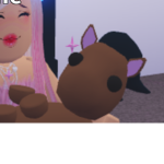 All about horses