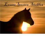 ✿ʊ Iris Equine ʊ✿
