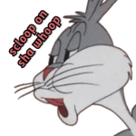 scloop on sha whoop