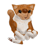 Milo Bingus