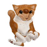Milo Bingus