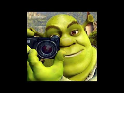 shrek town
